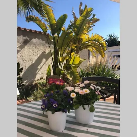 Apartament Casa Sobre El Mar, A Beautiful Oasis 1000m From Beach